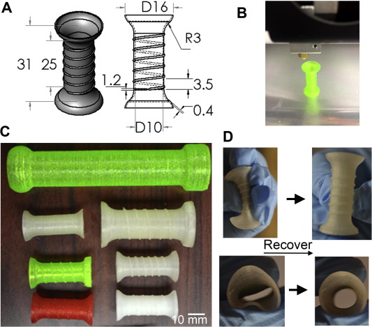 大西洋大學開發用于食道癌患者的3D打印柔性自擴張支架 大西洋大學開發用于食道癌患者的3D打印柔性自擴張支架
