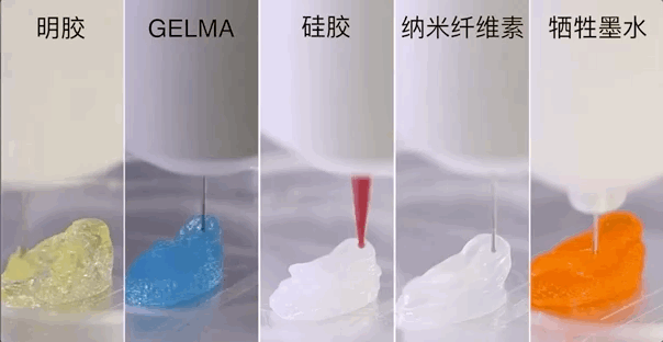 ӡfʽl(f)BioMaker3DӡC