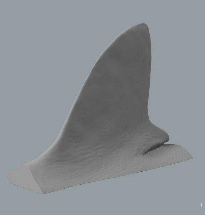 W3D脓~Sо