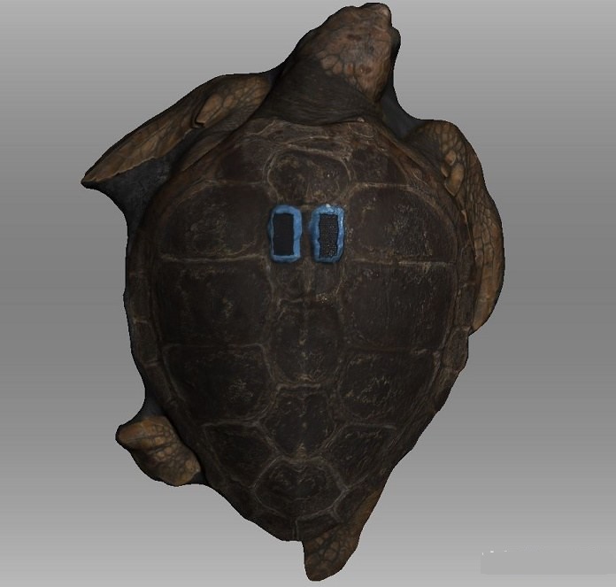 W3D脓ࡢ~Sо