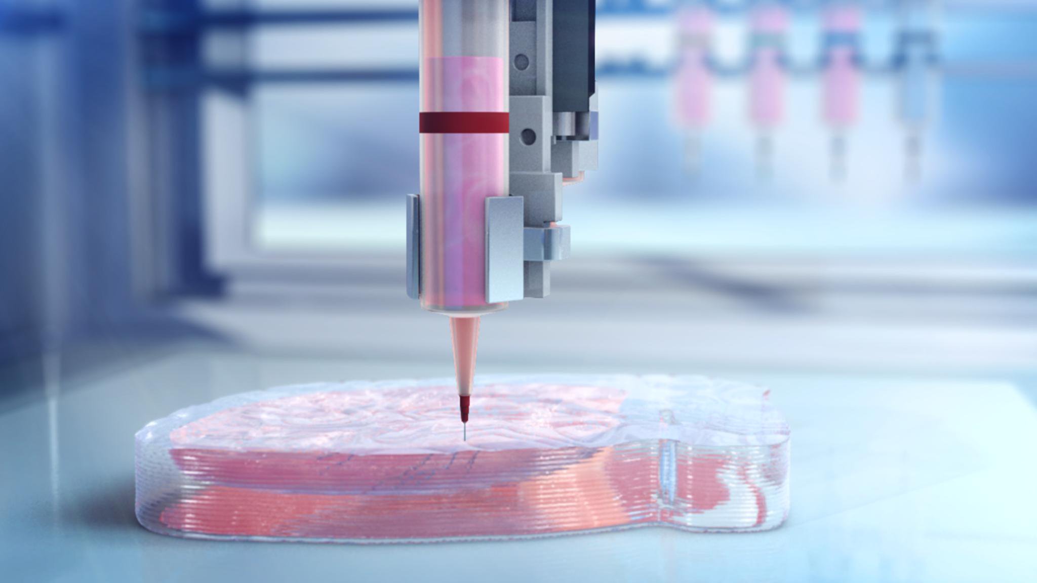 在BIOLIFE4D進行生物打印 在BIOLIFE4D進行生物打印